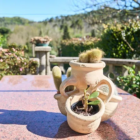 Elysee Nyaraló La Spezia